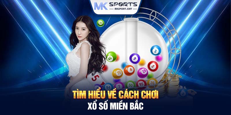 Tìm hiểu về về cách chơi xổ số miền Bắc